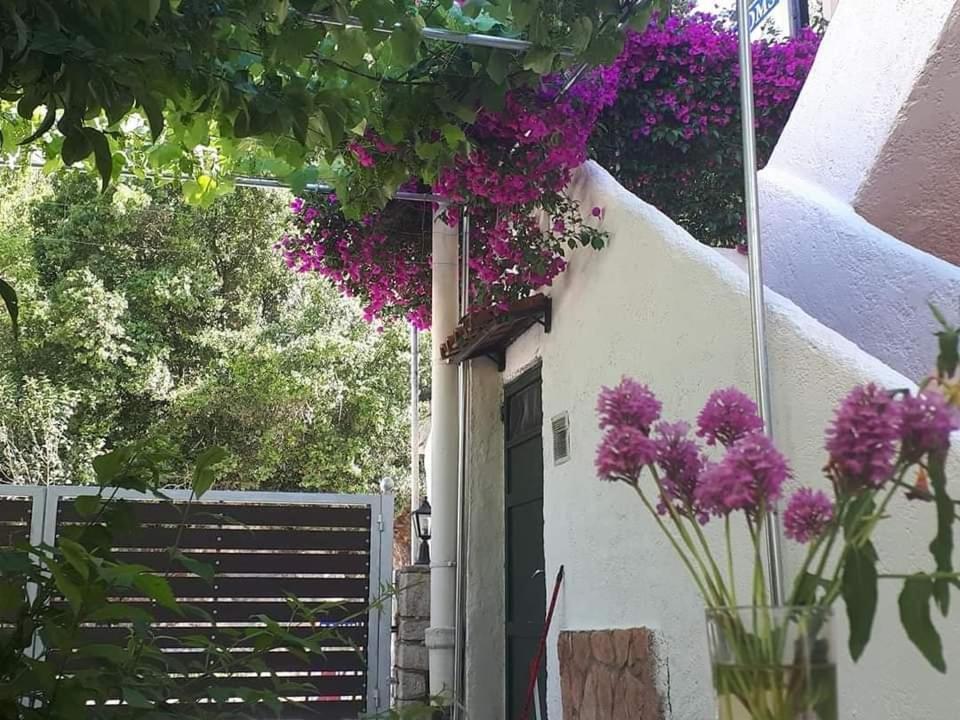 Achilleas Rooms ซิโวตา ภายนอก รูปภาพ